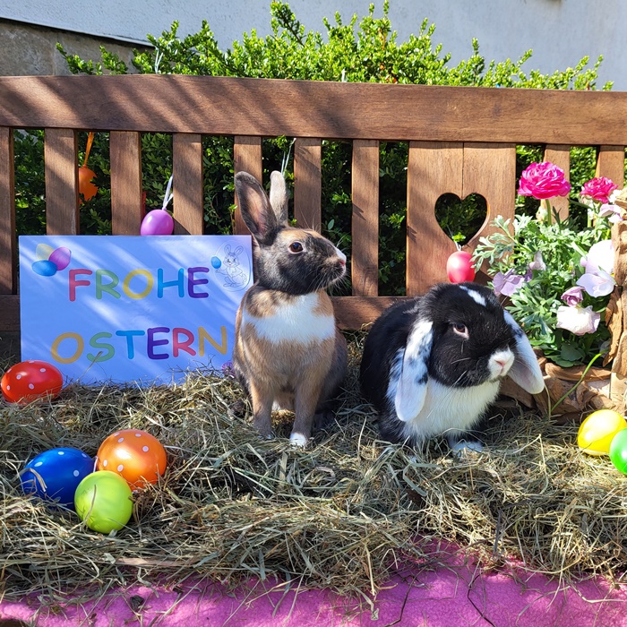 Wir wünschen zum Osterfest ein lecker gefülltes Nest. 