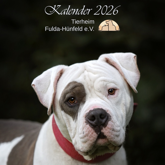 Unser Titelmodel 2026 ist der einzigartige Donut.