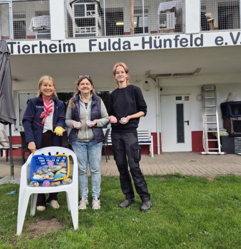 Übergabe Tierheim 2
