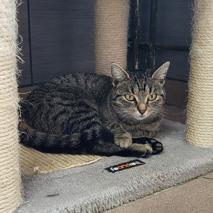 02_25_6069_Anastasia