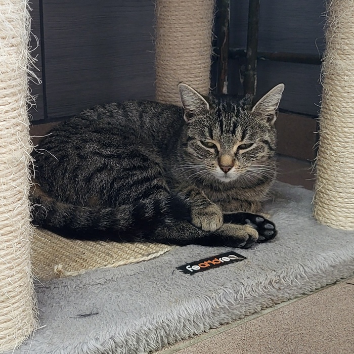 02_25_6069_Anastasia_1