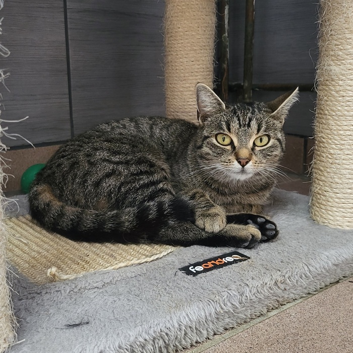 02_25_6069_Anastasia_2