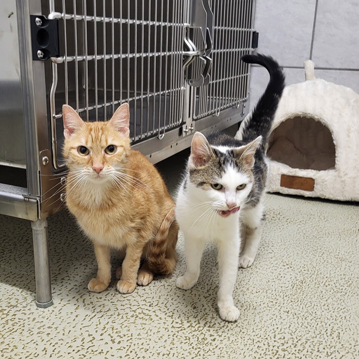 02_25_6140_Livia-6141_Lando