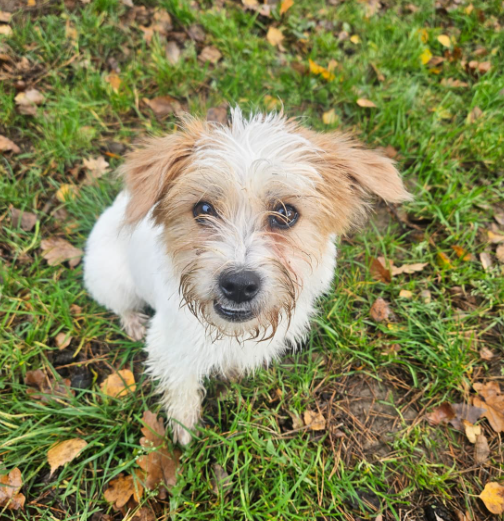 2025-11-03 16_54_20-(2) WhatsApp