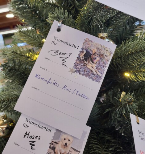 Dehner_Weihnachtsbaumaktion_2026_1