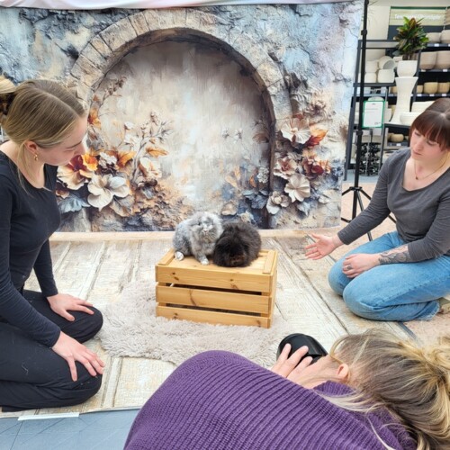 Fotoshooting_Dehner_2025_12