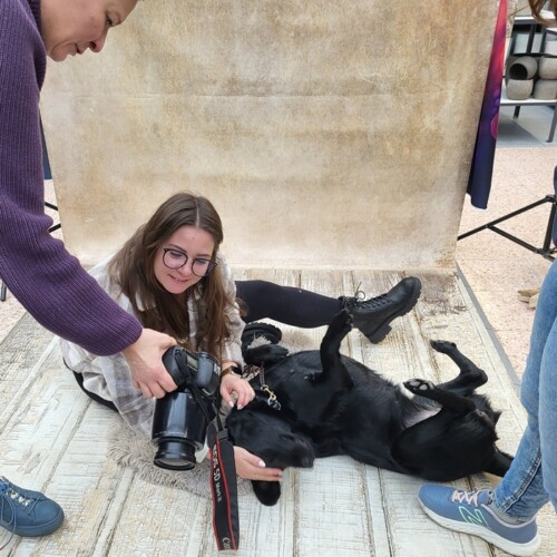 Fotoshooting_Dehner_2025_22