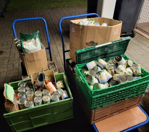 Fotoshooting_Dehner_2025_35