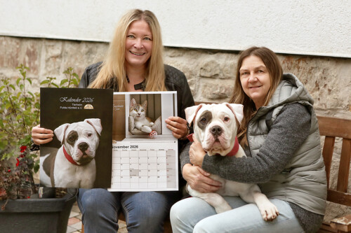 Pressefoto Tierheimkalender 2026