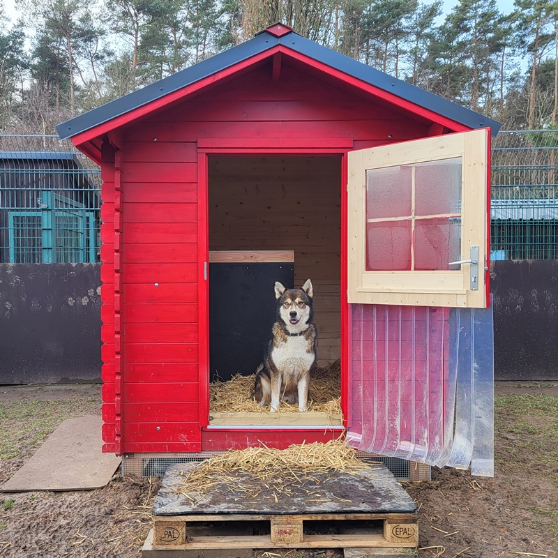 Herzlichen Dank an alle die für uns gestimmt haben!