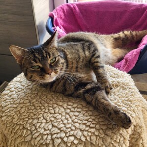 Rosaline ( wohnt auf Pflege 04.04.2026)