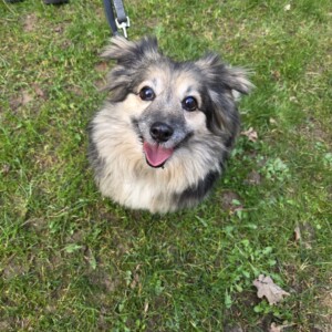 Leika (wohnt zur Probe)