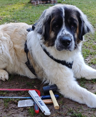 Spendenaufruf: Wir benötigen neues Werkzeug!