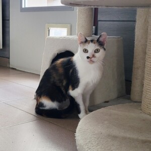 Minni
