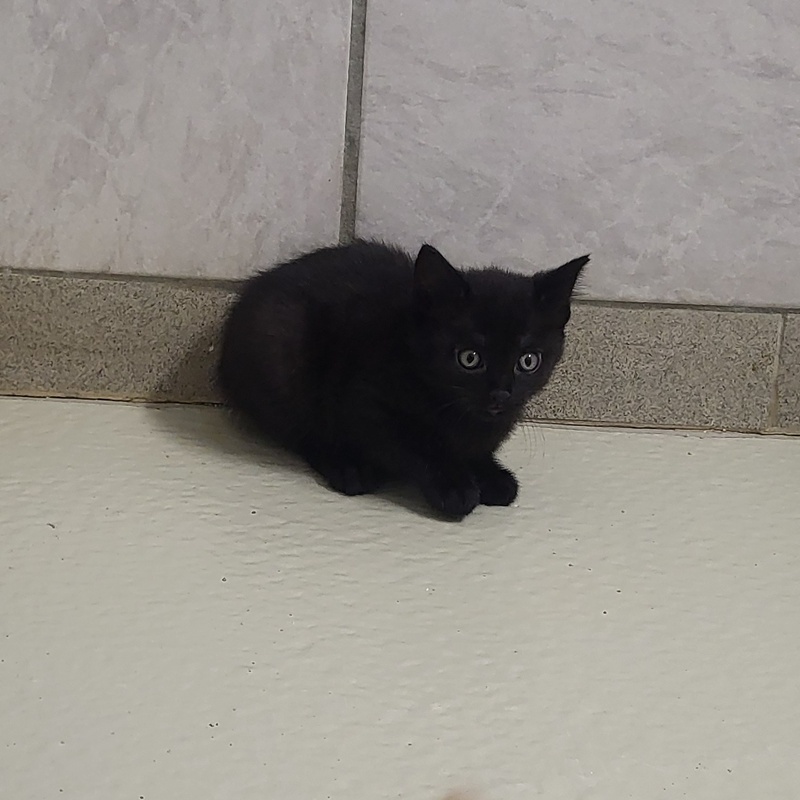 Marla – Bild 6
