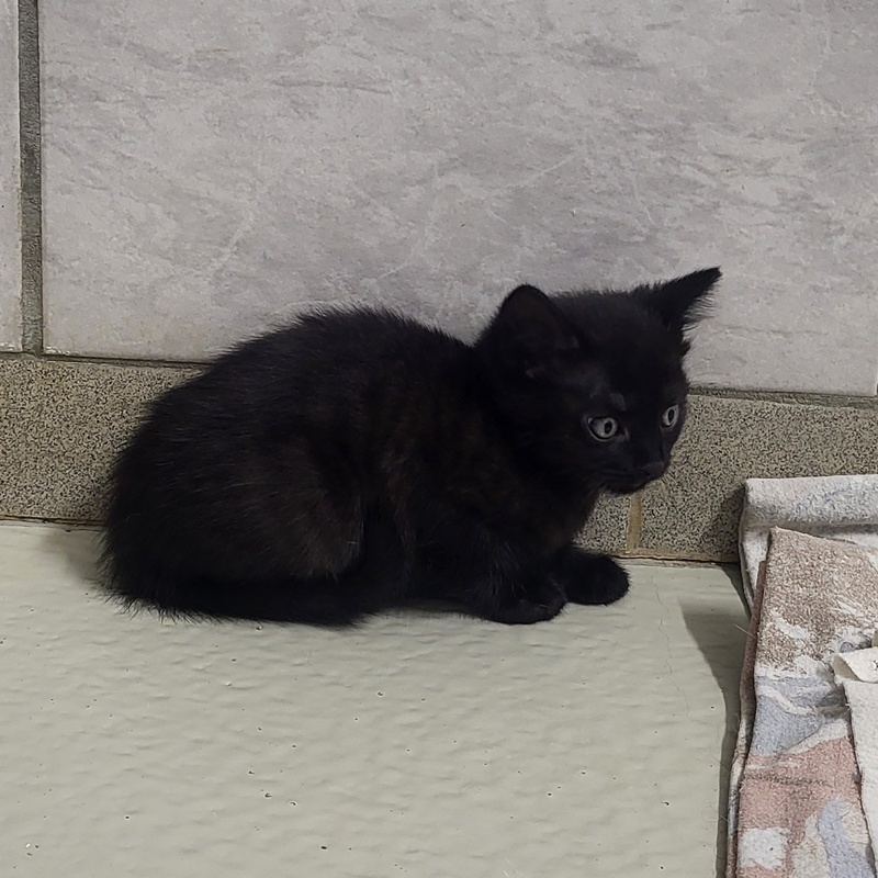 Marla – Bild 7