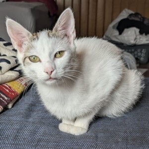 Mama ( auf einer Pflegestelle)
