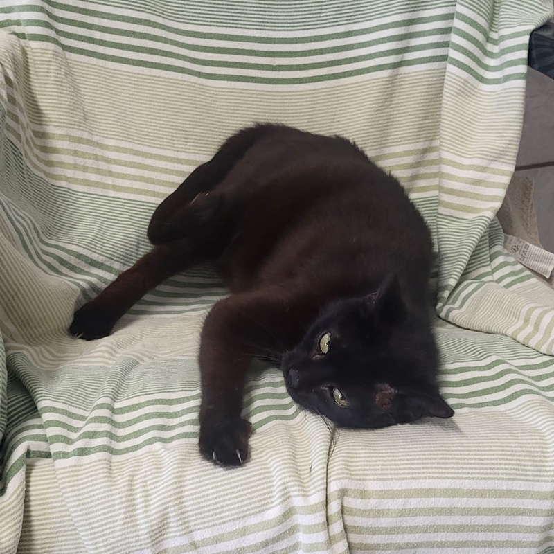 Chloe – Bild 5