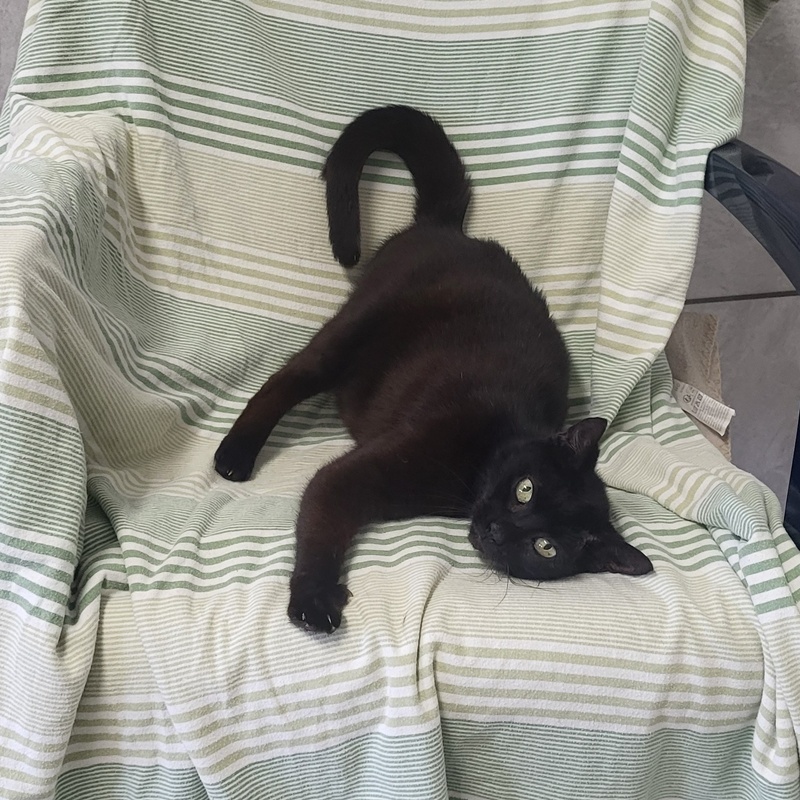 Chloe – Bild 4