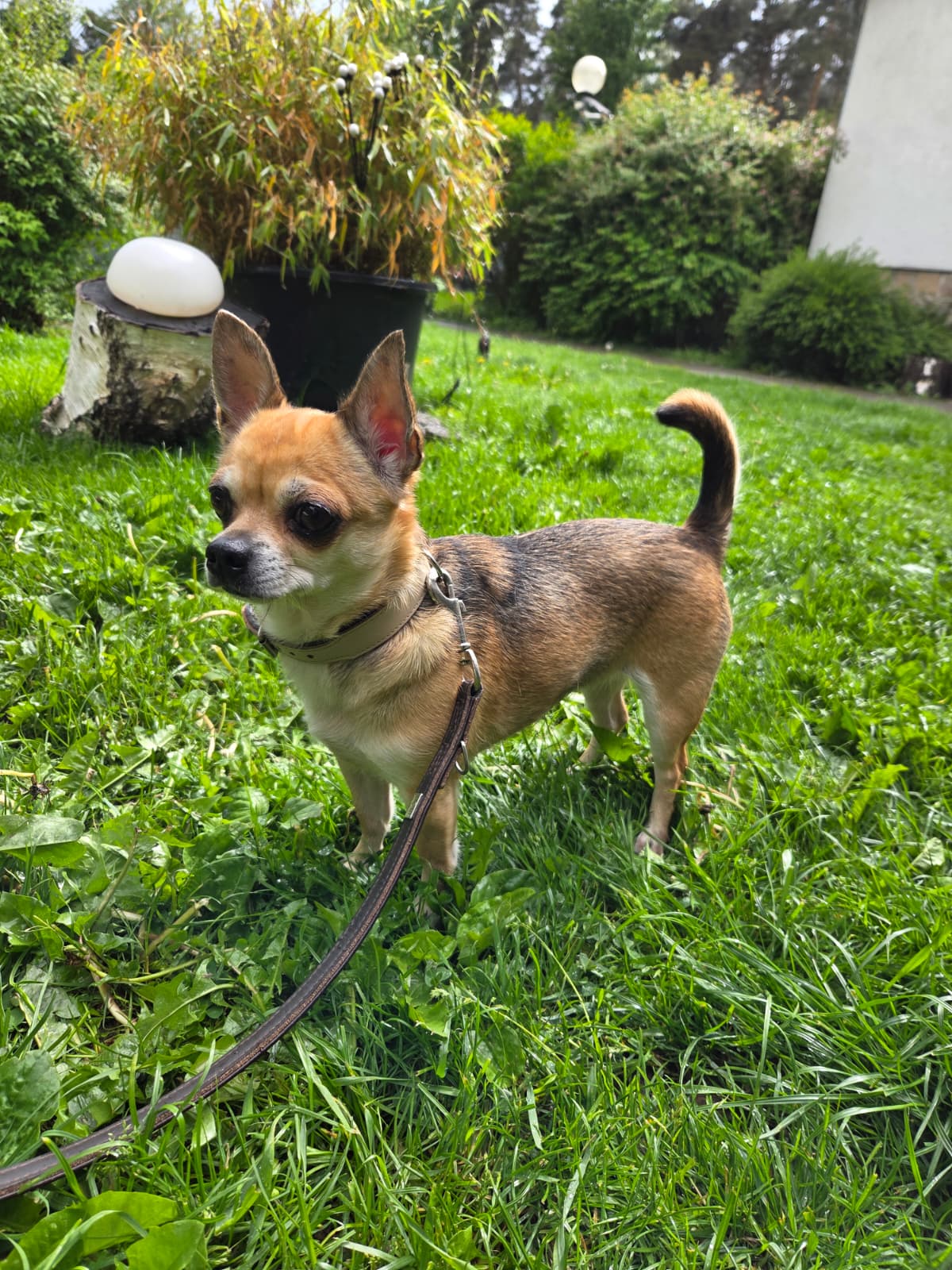 Fenja – Bild 3