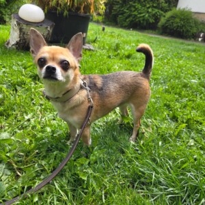 Fenja (wohnt zur Probe)