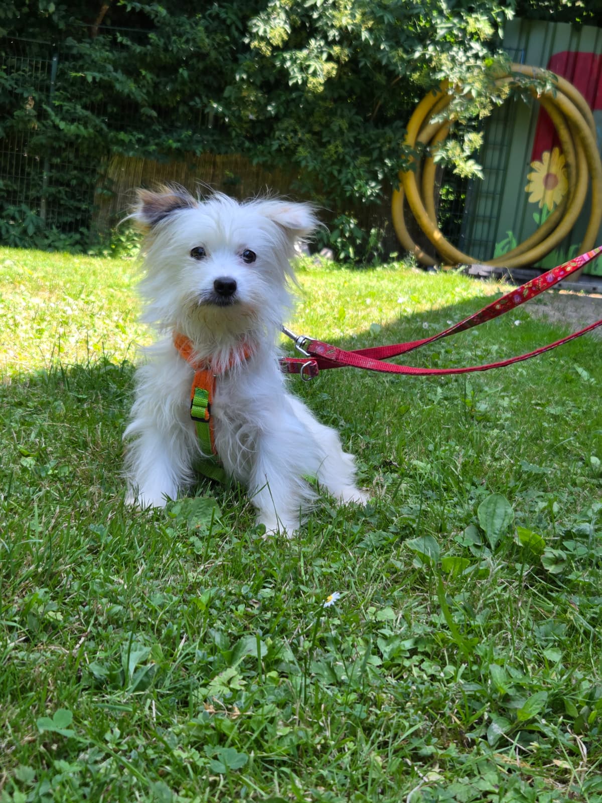 Lumi (wohnt zur Probe)