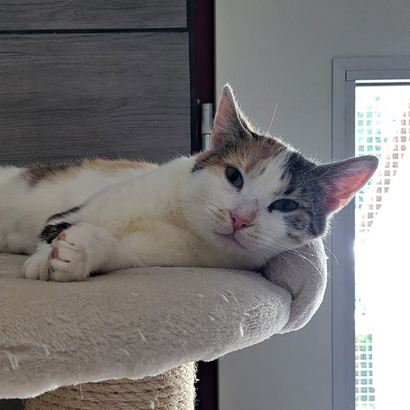 Penny – Bild 4