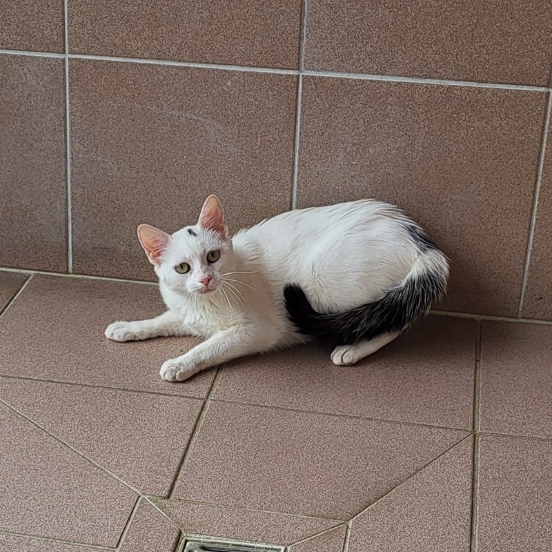 Ember und Alaska – Bild 2