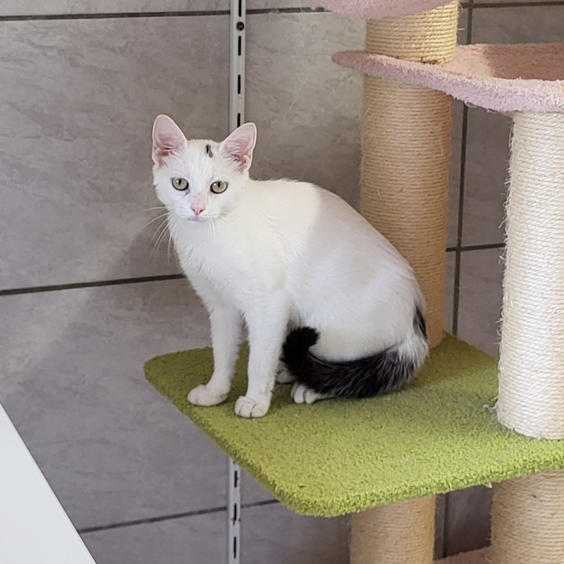 Ember und Alaska – Bild 3