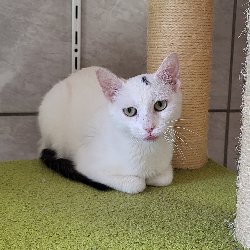 Ember und Alaska – Bild 4