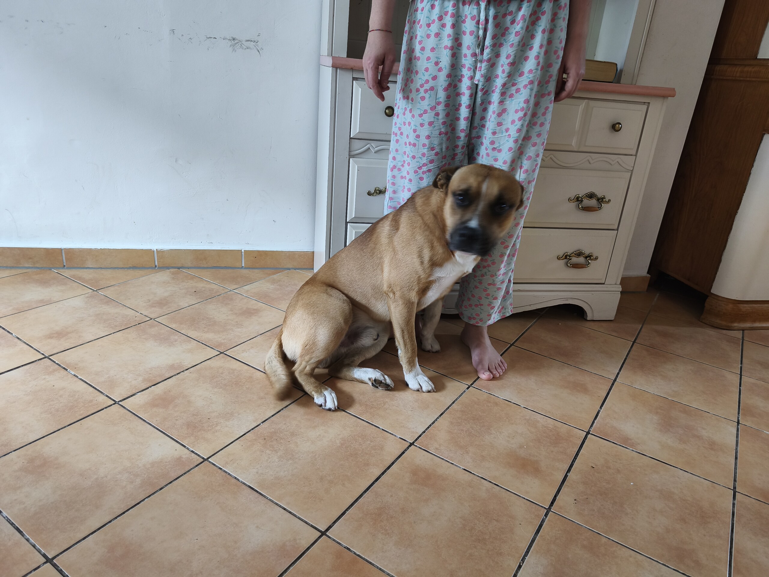 Pepper 02.07.2026 – Bild 2