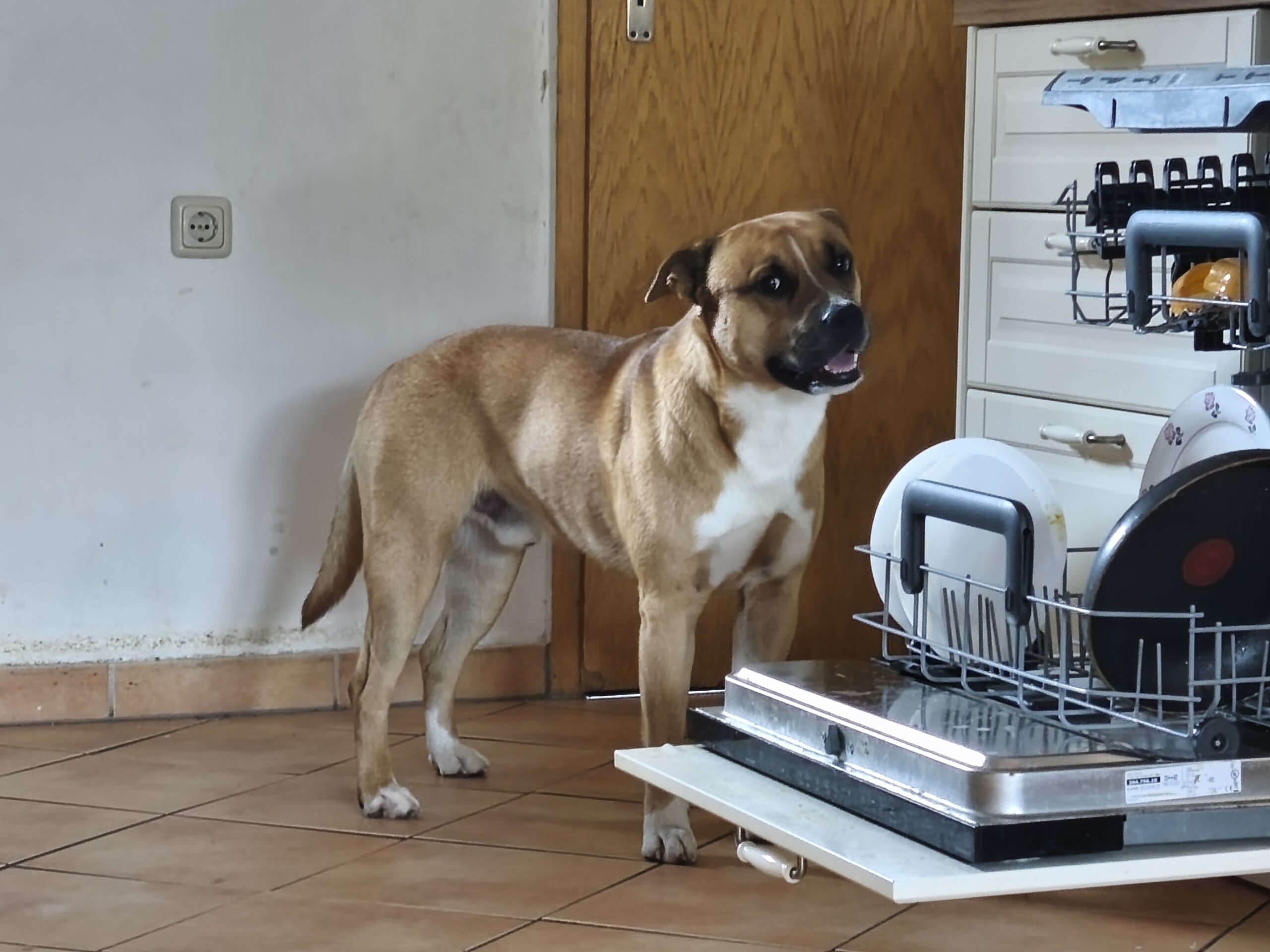 Pepper 02.07.2026 – Bild 3