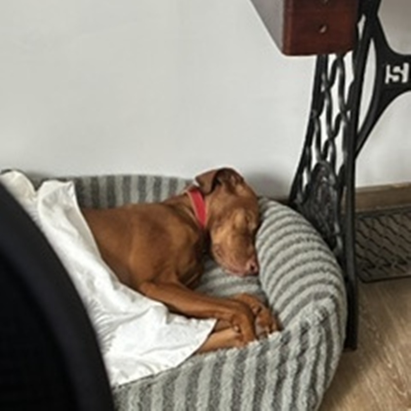 Holly 27.07.2026 – Bild 3