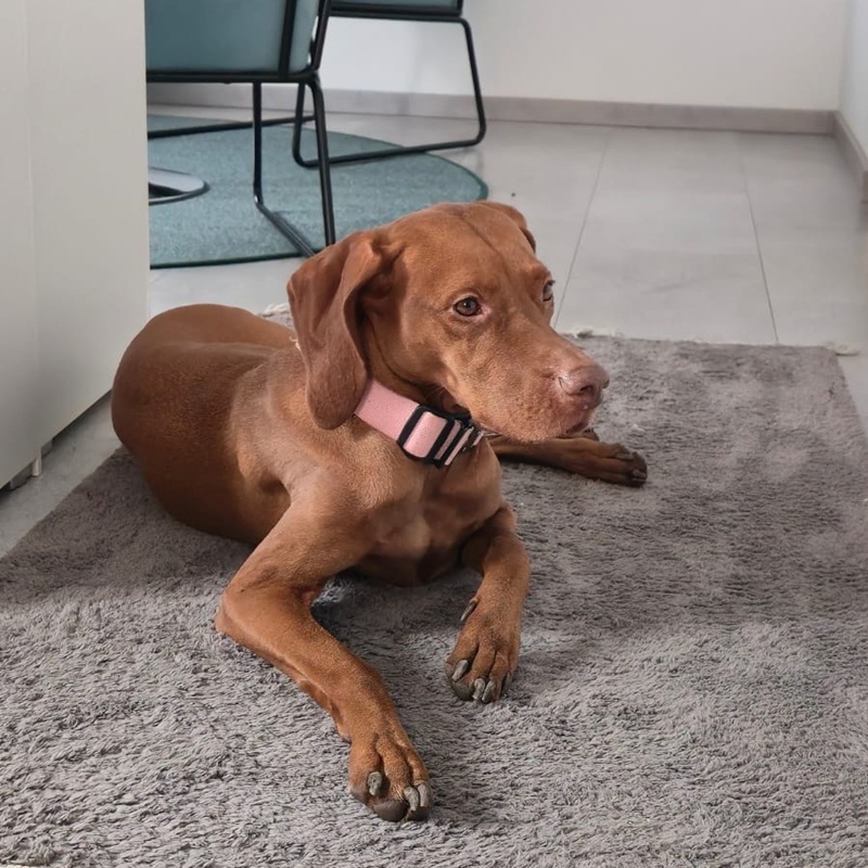 Holly 27.07.2026 – Bild 2