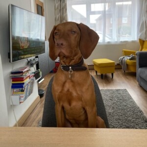 Holly 27.07.2026