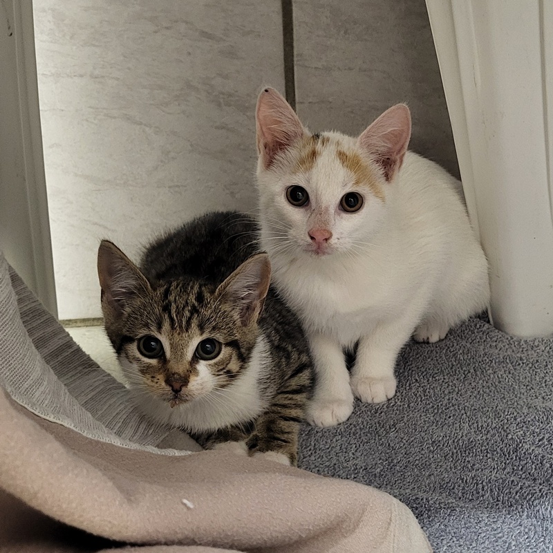Manni, Merida, Milo, Medusa, Mateo und Marianne – Bild 9