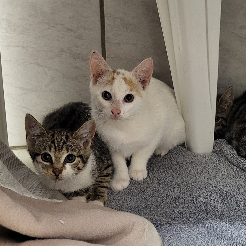 Manni, Merida, Milo, Medusa, Mateo und Marianne – Bild 5