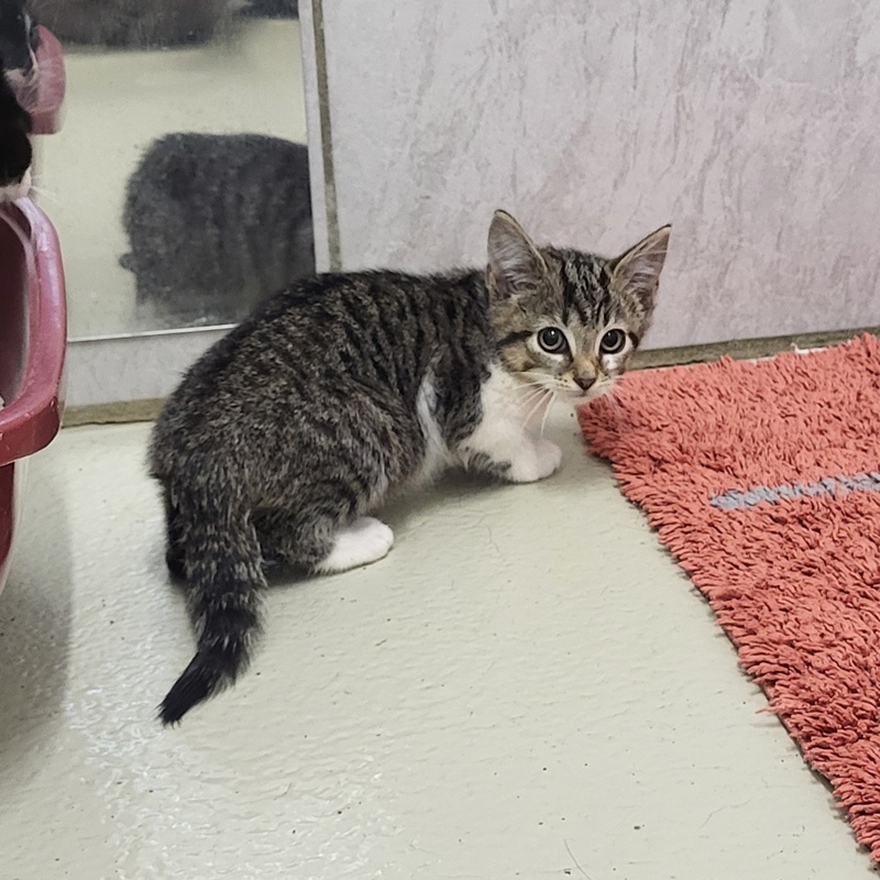 Manni, Merida, Milo, Medusa, Mateo und Marianne – Bild 2