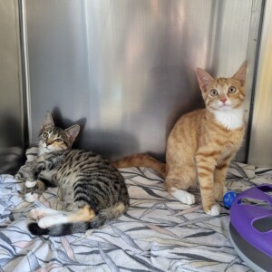 Maxi und Moritz