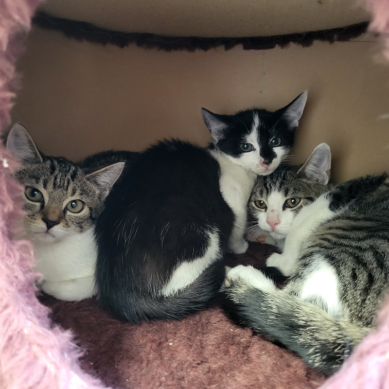 Walhalla, Waikiki, Walli und Wakanda – Bild 2