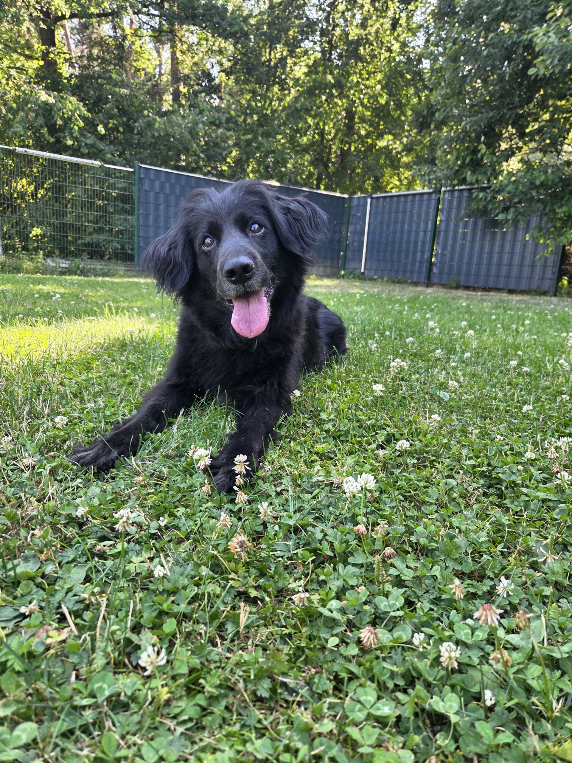 Connie – Bild 2
