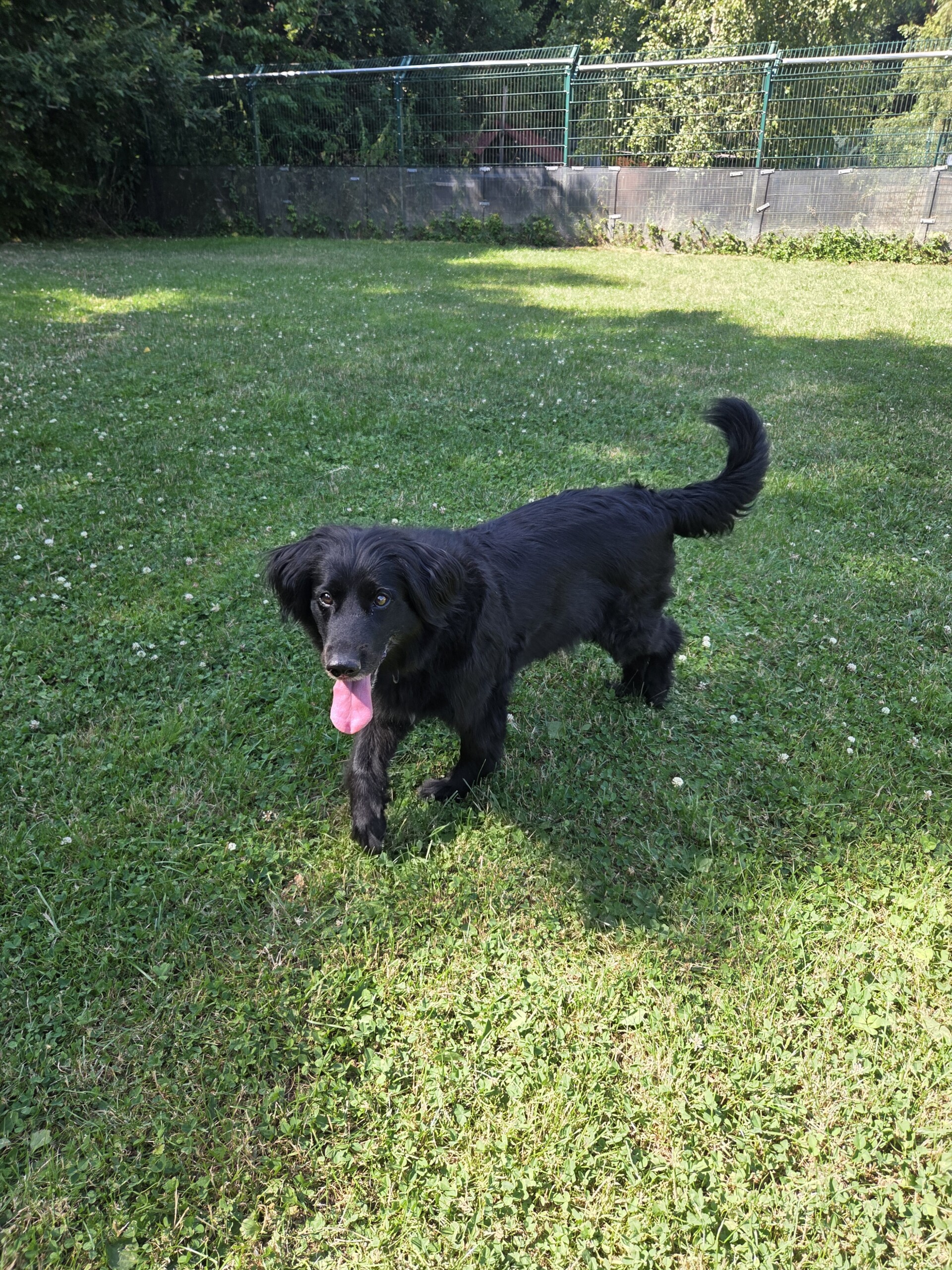 Connie – Bild 3