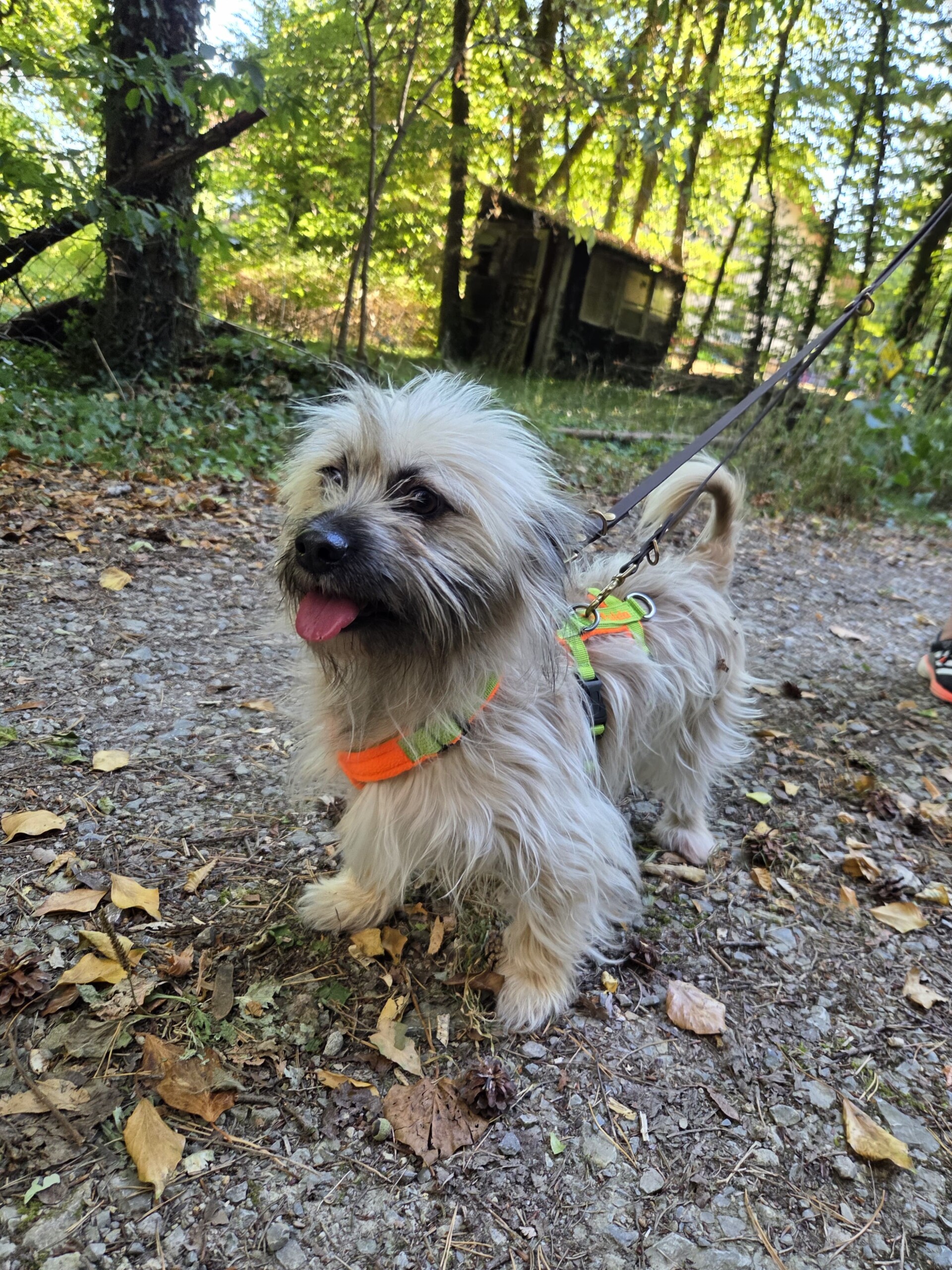 Alfi – Bild 2