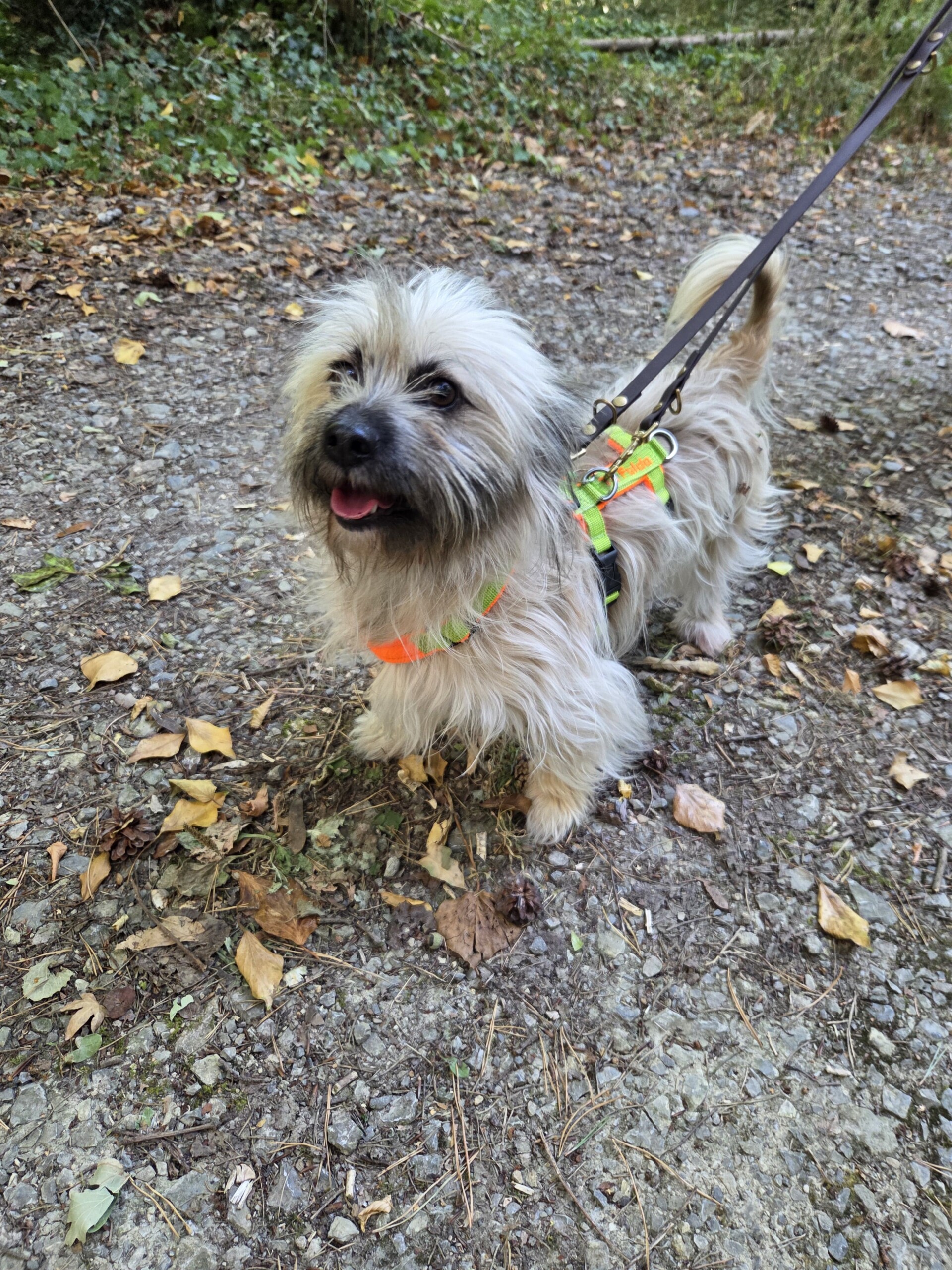 Alfi – Bild 3