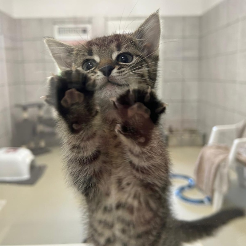 Wir brauchen eure Hilfe!