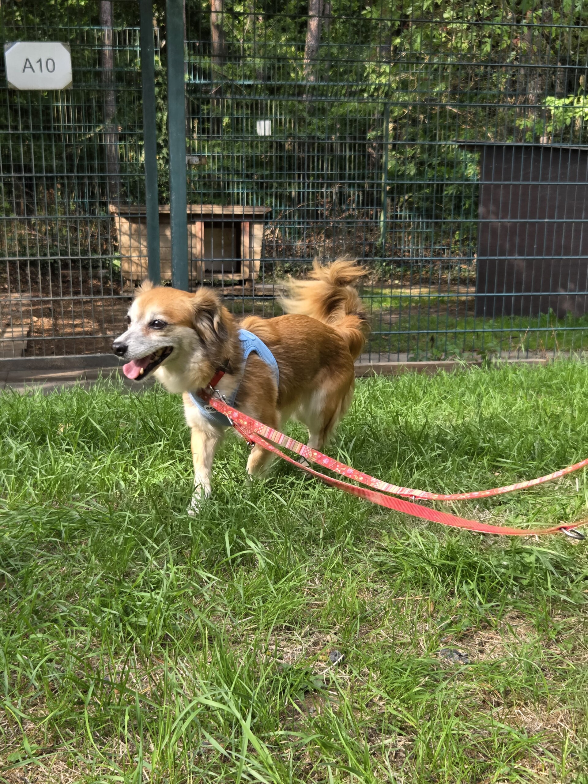 Sally – Bild 2