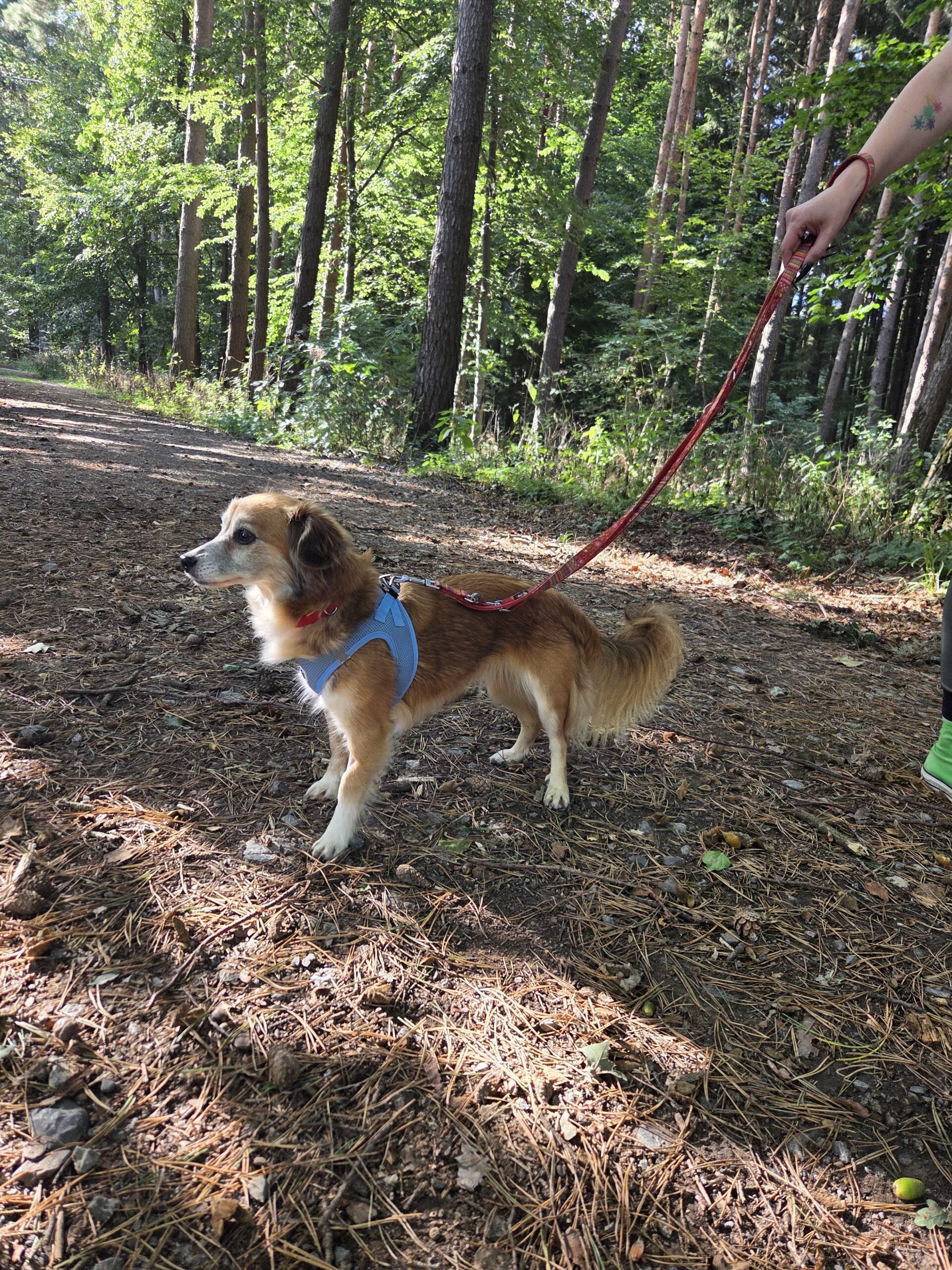 Sally – Bild 4