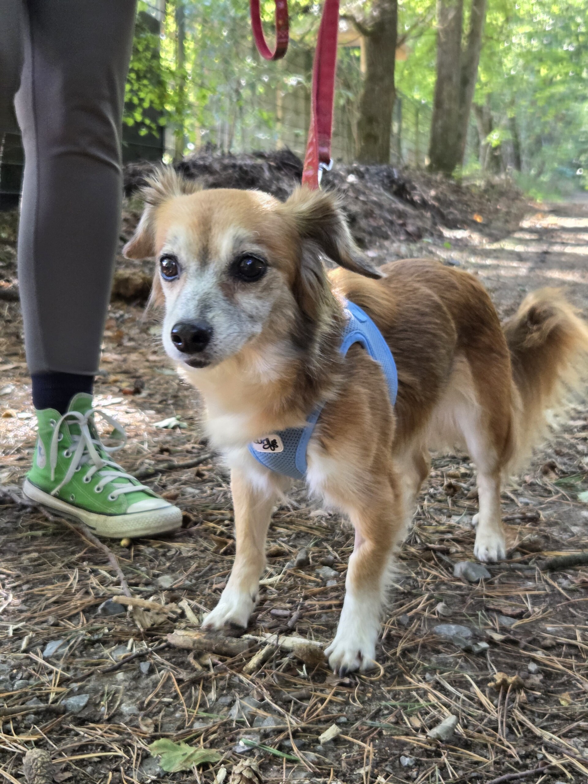 Sally – Bild 3