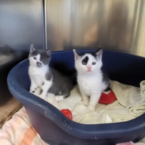 Xena, Xaver und Xenia