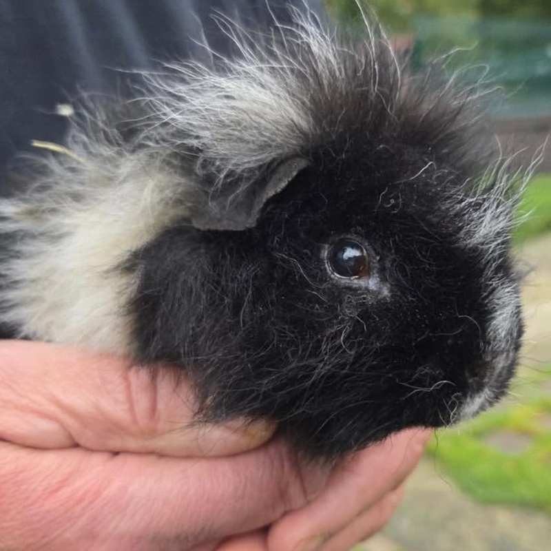 Bonnie – Bild 4